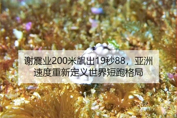 谢震业200米飙出19秒88，亚洲速度重新定义世界短跑格局