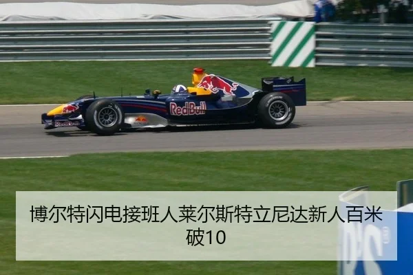 bo-er-te-shan-dian-jie-ban-ren-lai-er-si-te-li-ni-da-xin-ren-bai-mi-po-3-399.jpg
